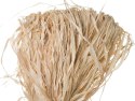Rafia Craft-Fun Series naturalna 100g Titanum (100 gram) Titanum
