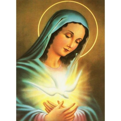 Zestaw kreatywny Diamentowa mozaika Matka Boska 40x30cm Norimpex (NO-1007127) Norimpex