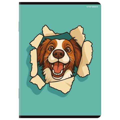 Zeszyt A5 Basic 16k. 60g linia podwójna kolorowa Top 2000 (400206500) Top 2000