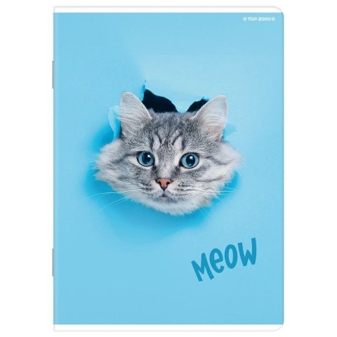 Zeszyt A5 Basic 16k. 60g linia podwójna kolorowa Top 2000 (400206500) Top 2000