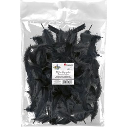 Piórka Craft-Fun Series czarne Titanum Titanum