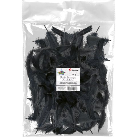 Piórka Craft-Fun Series czarne Titanum Titanum
