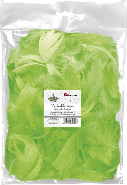 Piórka Craft-Fun Series limonka Titanum Titanum