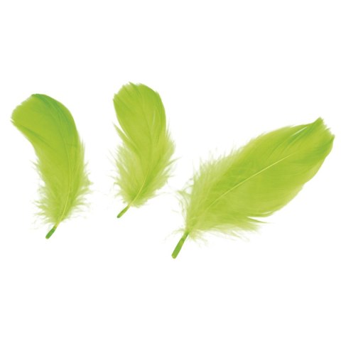 Piórka Craft-Fun Series limonka Titanum Titanum