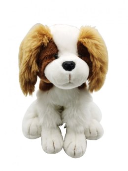 Pluszak pies siedzący Smily Play (SP84396) Smily Play