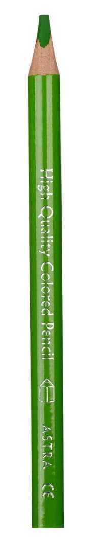 Kredki ołówkowe 1 kol. Astra Astra