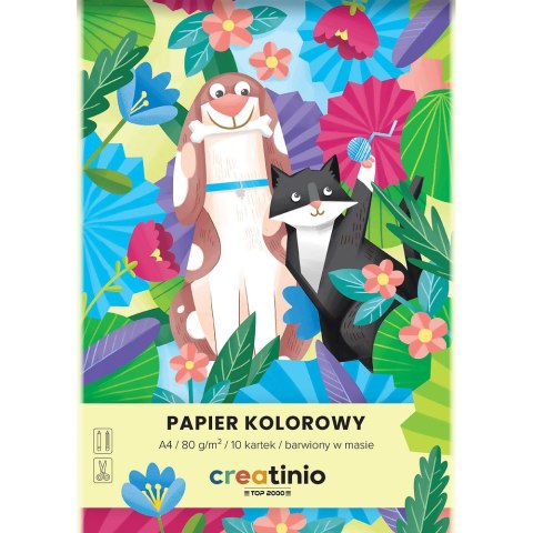 Papier kolorowy A4 Creatinio mix 100k. 80g Top 2000 (400176684) Top 2000