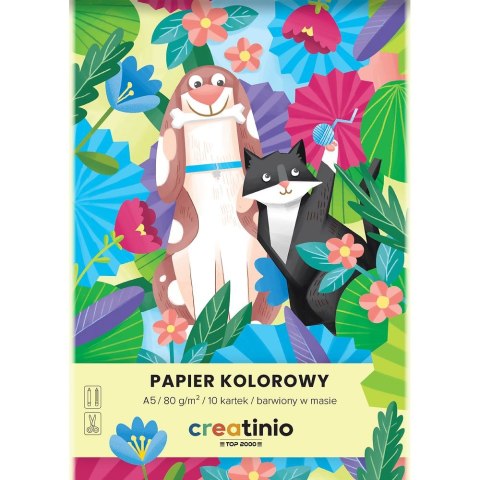 Papier kolorowy A5 Creatinio mix 80g Top 2000 (400176683) Top 2000
