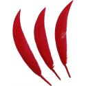 Piórka Craft-Fun Series czerwony 24 szt Titanum Titanum