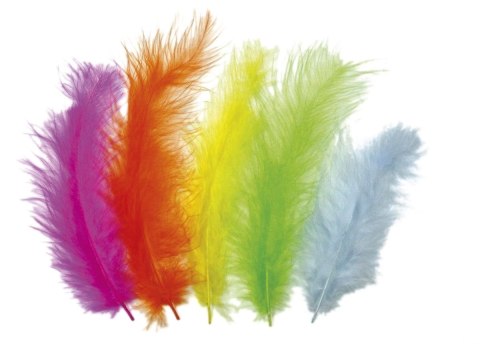 Piórka Craft-Fun Series jaskrawe kolory mix 25 szt Titanum Titanum