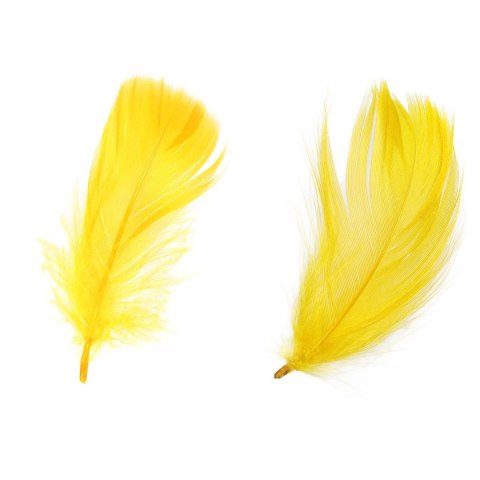 Piórka Craft-Fun Series żółty Titanum Titanum