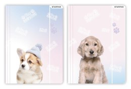 Teczka kartonowa na gumkę pieski A4 mix Starpak (398150) Starpak