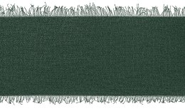 Wstążka Craft-Fun Series szyfonowa strzępiona 40x10 [mm x m] zielony butelkowy Titanum (WJ40-10-012B) Titanum